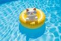 Inflatable cute cat swimming pool float. Summer vacation. Generative ai