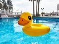 Inflatable cute ducking in blue swimming pool