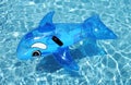 Inflatable dolphin on blue swimming pool