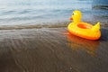 Inflatable Duck Royalty Free Stock Photo
