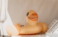 Inflatable duckling, summer - Bright yellow floatation device enhances swimming experience and safety ensured for young Royalty Free Stock Photo