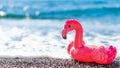 Inflatable flamingos on beach with sea wave