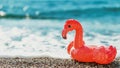 inflatable flamingos on beach with sea wave