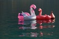 Inflatable flamingos in the sea for safe swimming