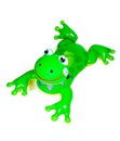 Inflatable Frog Pool Toy Royalty Free Stock Photo