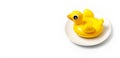 Inflatable mini yellow chicken or duckling on white plate on white background. Creative food concept, tobacco chicken. Flat lay