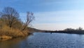 The inflatable motorboat is floating on the river. There are ripples in the water. A tree is leaning over the water. A forest grow Royalty Free Stock Photo