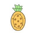 inflatable pineapple summer pool ite doodle style Royalty Free Stock Photo