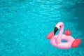 Inflatable pink flamingo in the blue water of swimming pool. Summer holidays, vacations, pool party, summertime heat idea