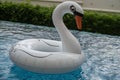 Inflatable white swan in the pool