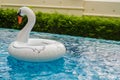 Inflatable white swan in the pool