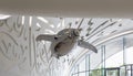 An inflated balloon with propellers in the form of a dolphin flies inside the Museum of The Future in Dubai city, United Arab