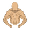 Inflated body muscle man drawing illustration