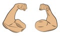 Inflated muscle hands vector drawing illustration