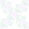 Inflorescence Hydrangea randomly arranged in seamless pattern, vector illustration in hand drawing linear style. Royalty Free Stock Photo