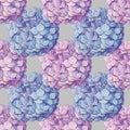 Inflorescence Hydrangea randomly arranged in seamless pattern, vector illustration in hand drawing style. Royalty Free Stock Photo