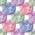 Inflorescence Hydrangea randomly arranged in seamless pattern, vector illustration in hand drawing style. Royalty Free Stock Photo