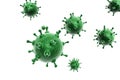 Influenza virus