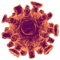 Influenza Virus