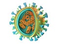 Influenza virus diagram Royalty Free Stock Photo
