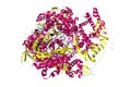Influenza A virus H7N9 polymerase elongation complex. Ribbons diagram in secondary structure coloring. 3d illustration Royalty Free Stock Photo