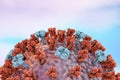 Influenza virus illustration Royalty Free Stock Photo