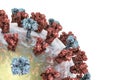 Influenza virus illustration Royalty Free Stock Photo