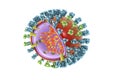 Influenza virus illustration Royalty Free Stock Photo