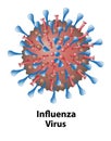 Influenza Virus Structure of Virion