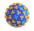 Influenza virus on a white background. Royalty Free Stock Photo