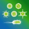 Influenza viruses and E coli Bacteria