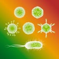 Influenza viruses and E coli Bacteria
