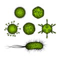 Influenza viruses and E coli Bacteria