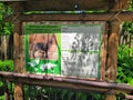 Info of chinese muntjak on info board in zoo