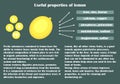 Infographic about the beneficial properties of lemon.