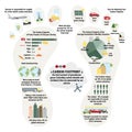 Infographic of carbon footprint of household. Greenhouse gases contribution from food. Tips for reducing personal carbon