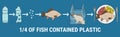 Infographic of fish with microplastics on the plate Royalty Free Stock Photo