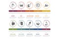 Infographic Hygiene template. Icons in different colors. Include Shower, Soap, Washing Hands, Microbes and others