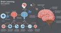 Infographic illustrating brain learning, featuring a human brain with labeled sections Royalty Free Stock Photo