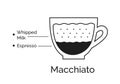 Infographic illustration of Macchiato coffee