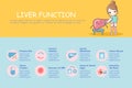 Infographic of liver