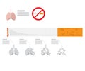 Infographic for lung destroy from cigarette, tobacco