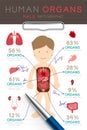 Infographic Male Human Organ set, Doctor writing paper chart with pad