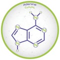 Infographic of the molecule of Adenine