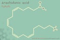 Infographic of the molecule of Arachidonic acid