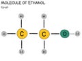 Infographic of the molecule of Ethanol