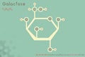 Infographic of the molecule of Galactose