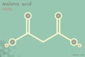 Infographic of the molecule of Malonic acid Royalty Free Stock Photo