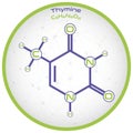 Infographic of the molecule of Thymine Royalty Free Stock Photo