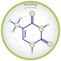 Infographic of the molecule of Thymine